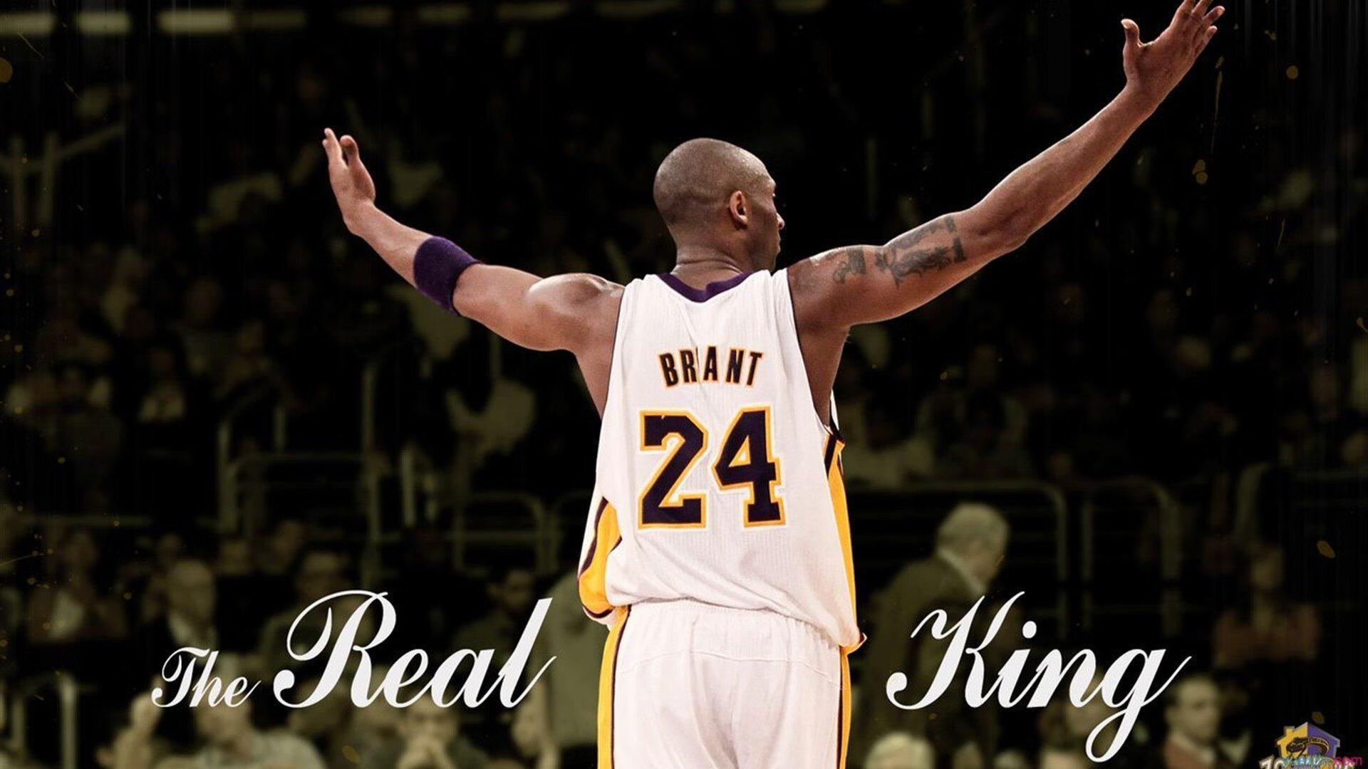 格鲁塞100米蝶泳决赛发挥稳定