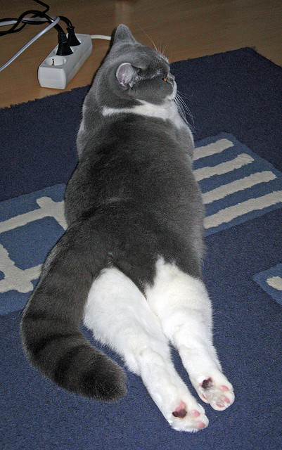 九游官网下载电脑版-“足球+旅游+文化”融合产业研究院在行业内建立示范作用，融合文旅集团有限公司