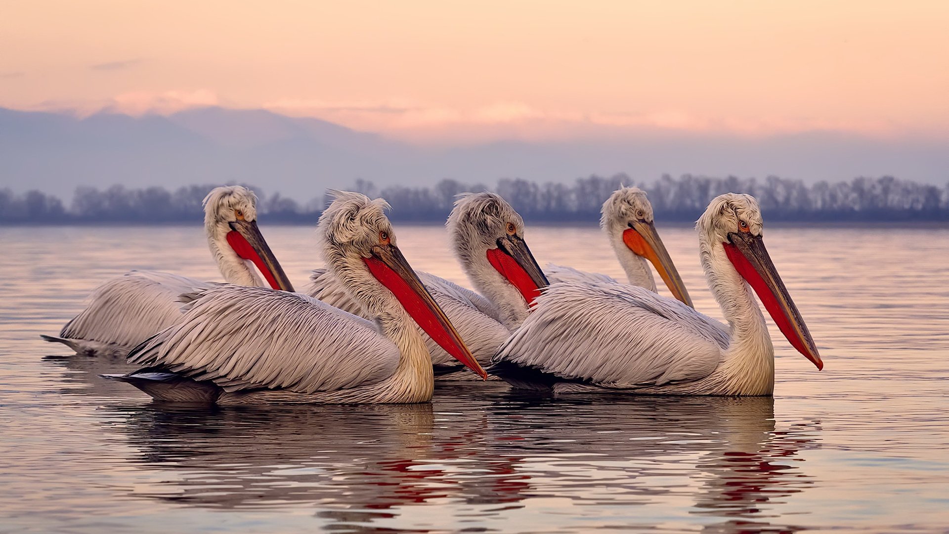 九游app下载中心-【“快节奏”规则——比赛时间缩短带来的巨大变化】，快节奏什么意思