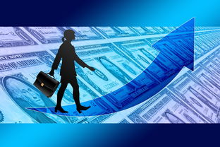 九游官网pc-女子赛事门票收入创新高，商业赞助进一步跟进，女子锦标赛